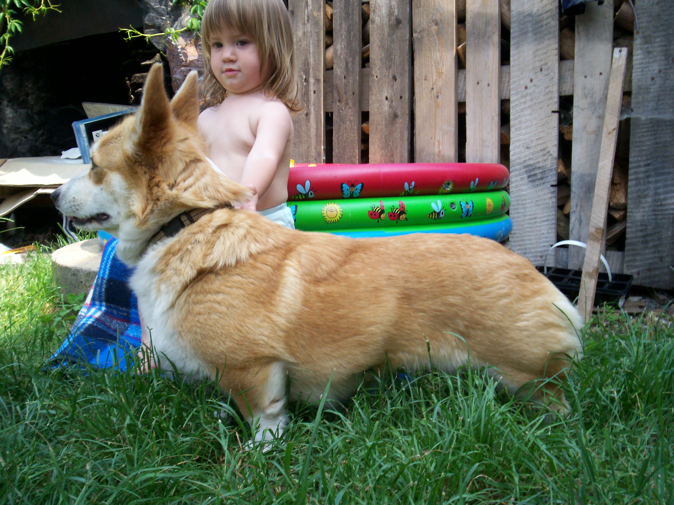 001_0718.JPG