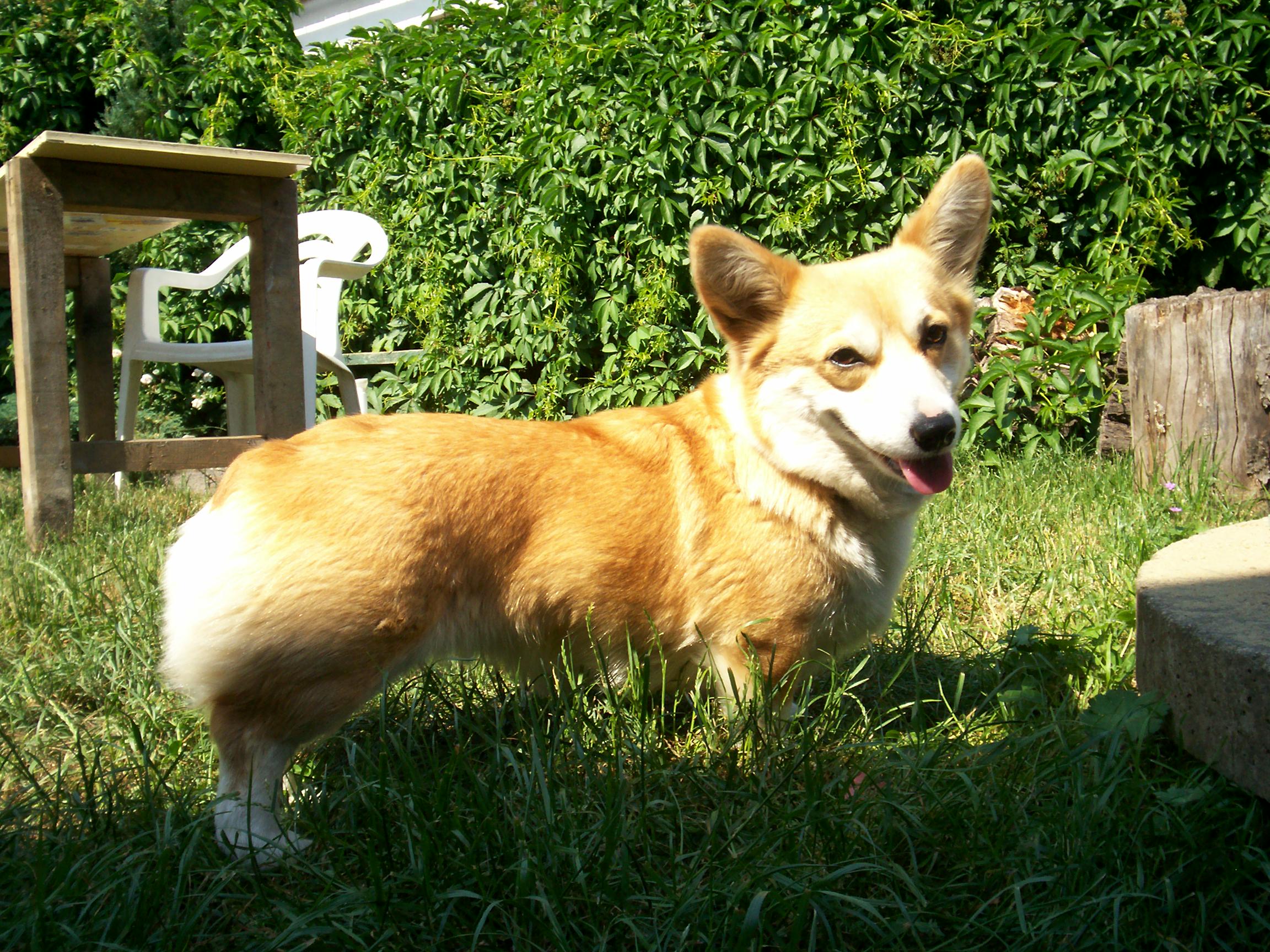 001_0746.JPG