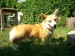 001_0746.JPG